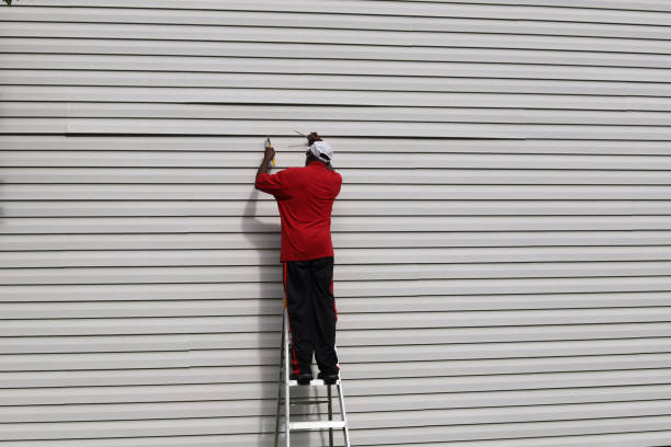 Best Residential Vinyl Siding Installation  in San Pasqual, CA