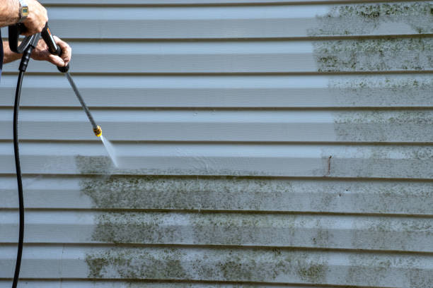Professional Siding Installation & Repair in San Pasqual, CA