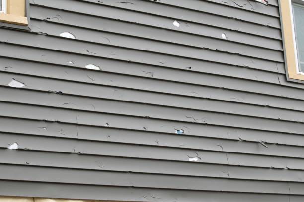 Best Brick Veneer Siding  in San Pasqual, CA