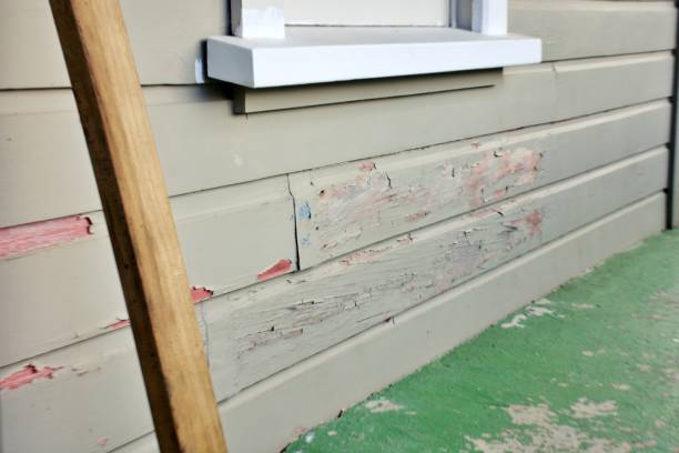 Best Wood Siding Installation  in San Pasqual, CA