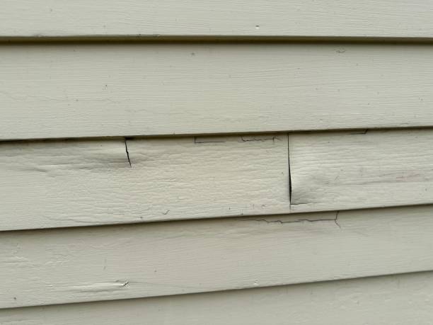 Best Aluminum Siding Installation  in San Pasqual, CA