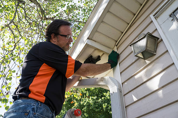 Best Siding Painting and Refinishing  in San Pasqual, CA